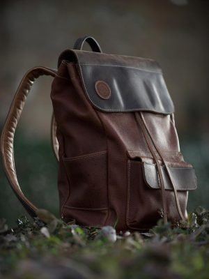 Urban Cork Tote